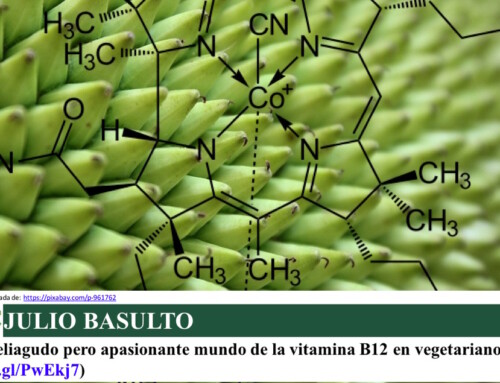 El peliagudo pero apasionante mundo de la vitamina B12 en vegetarianos
