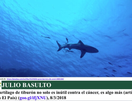 El cartílago de tiburón no solo es inútil contra el cáncer, es algo más (artículo para El País)