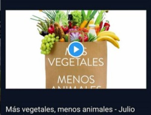 Fragmento del audiolibro «Más vegetales, menos animales»